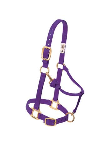 Weaver Original Adjust Chin Throat Snap Halter 3/4"  Arabian or Cob 35-5035