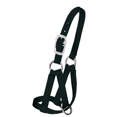 Weaver Llama Halter, 3/4" Medium/Large - 35-7086