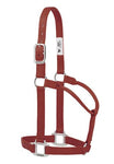 Original Non-Adjustable Nylon Halter with Chrome Plated Hardware by Weaver - Average