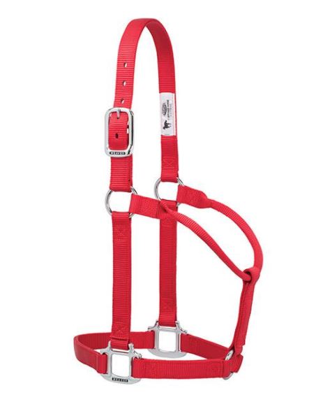 Original Non-Adjustable Nylon Halter with Chrome Plated Hardware by Weaver - Average