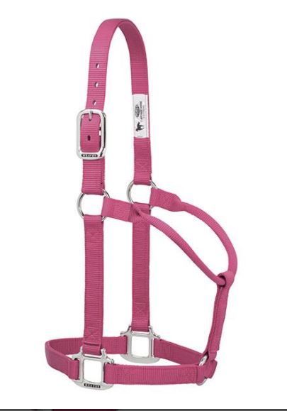 Original Non-Adjustable Nylon Halter with Chrome Plated Hardware by Weaver - Average