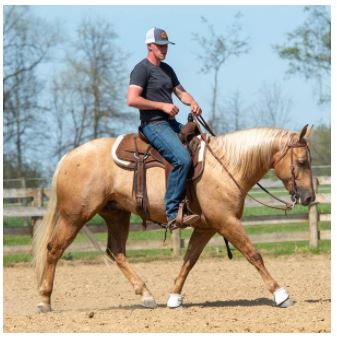 Synergy® Contoured Close Contact Performance Saddle Pad - 1" - 31"x32"