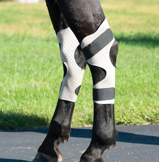 CoolAid® Equine Icing and Cooling Hock Wraps