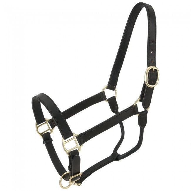 Royal King Leather Stable Halter 44-2021