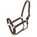 Royal King Leather Stable Halter 44-2021