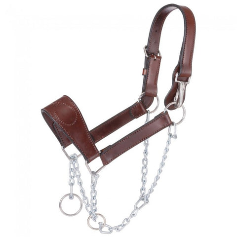 Leather Mule Halter with Draw Chain
