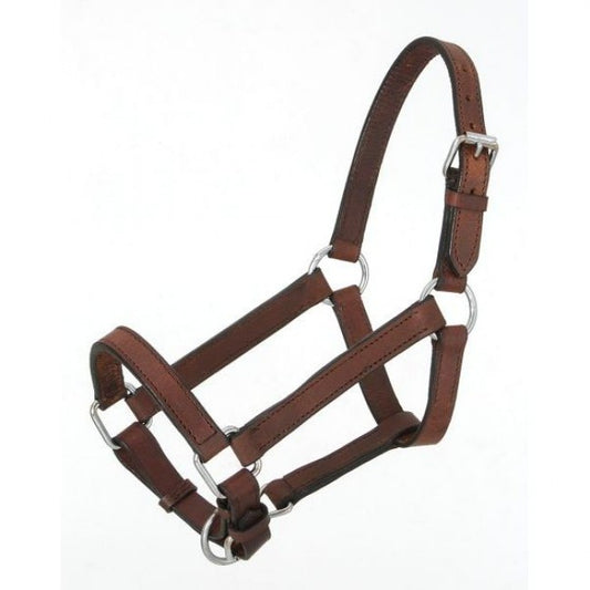 Royal King Miniature Leather Halter