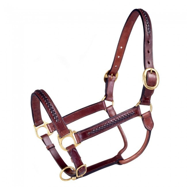 Royal King Braided Leather Halter