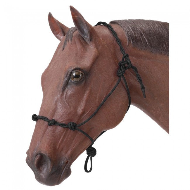 Poly Rope Halter W/Knots - Full Size – Lazy B Western Wear & Tack