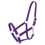 Economy Halter