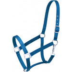 Economy Halter