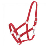 Economy Halter