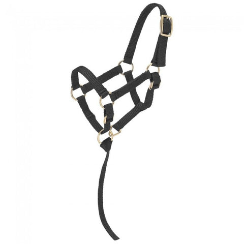 Miniature Nylon Halter