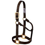 Weaver Orig Non-Adjustable Halter 1" Average Horse/Yearling Draft