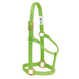 Weaver Orig Non-Adjustable Halter 1" Average Horse/Yearling Draft