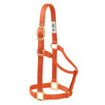 Weaver Orig Non-Adjustable Halter 1" Average Horse/Yearling Draft