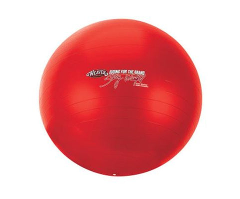 Stacy Westfall Activity Ball, Large