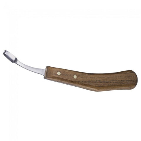 Abscess Loop Knife