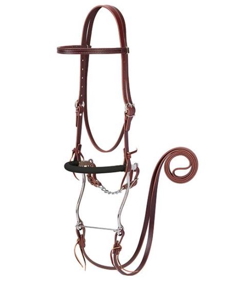 Browband Hackamore Bridle