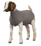 Spandex Goat Tube, Medium