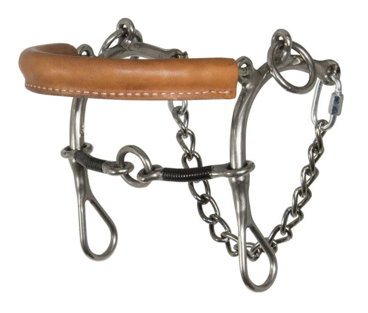 Reinsman Cajun Bit