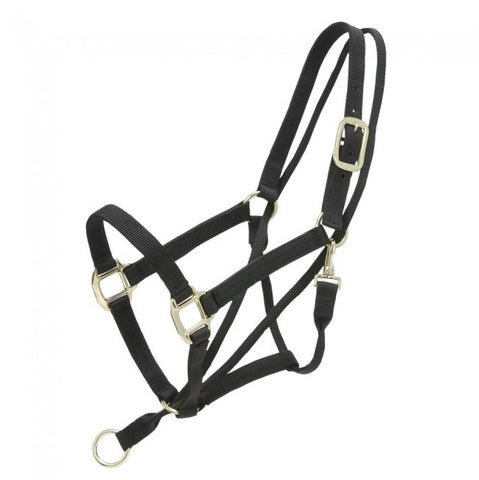 Tough-1 Eagle Equine Pull-Back Halter
