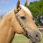 Rough Stock One Ear Headstall