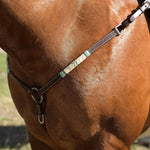 Day Money Breast Collar