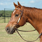 Day Money Browband Headstall