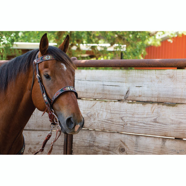 Circle Y Distressed Southwestern Beaded Inlaid Headstall