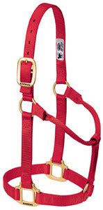 Weaver Orig Non-Adjustable Halter 1" Average Horse/Yearling Draft
