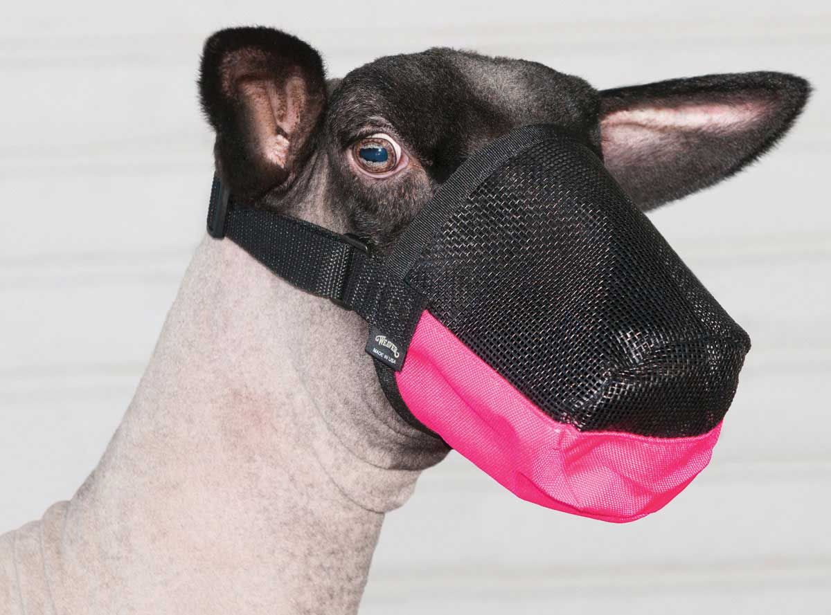 Weaver Deluxe Adjustable Goat/Sheep Muzzle